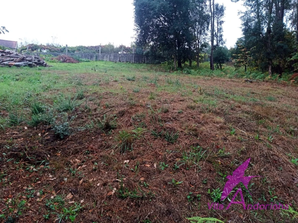 Terreno para Venda em Cerdal Foto 3