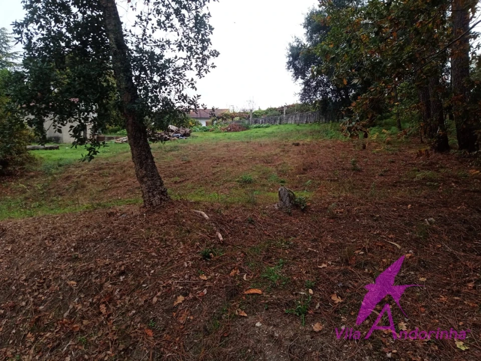 Terreno para Venda em Cerdal Foto 4