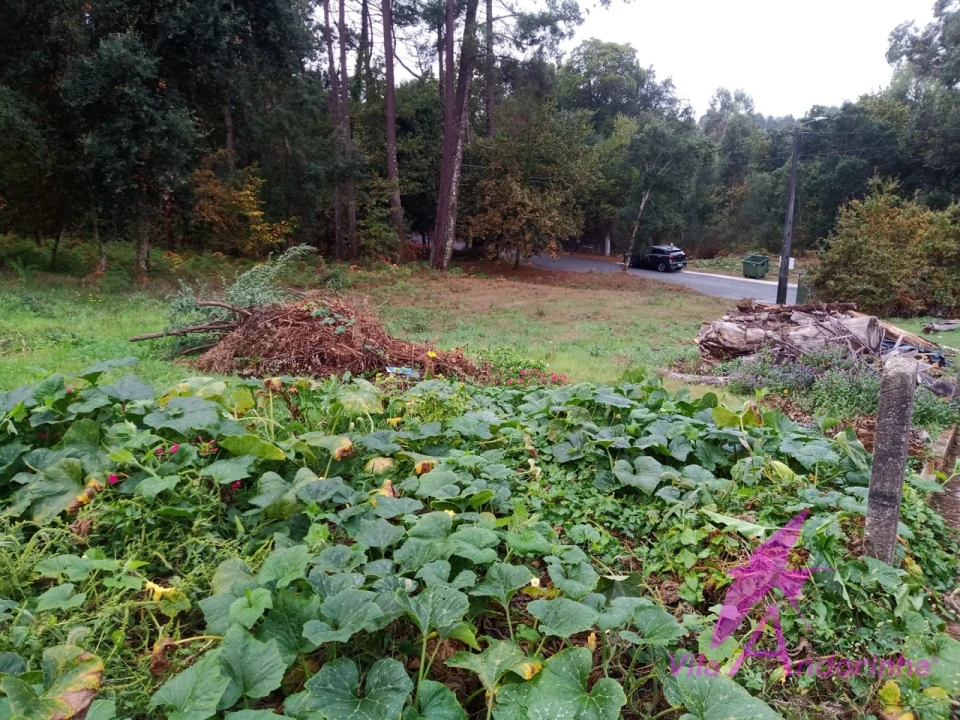 Terreno para Venda em Cerdal Foto 9