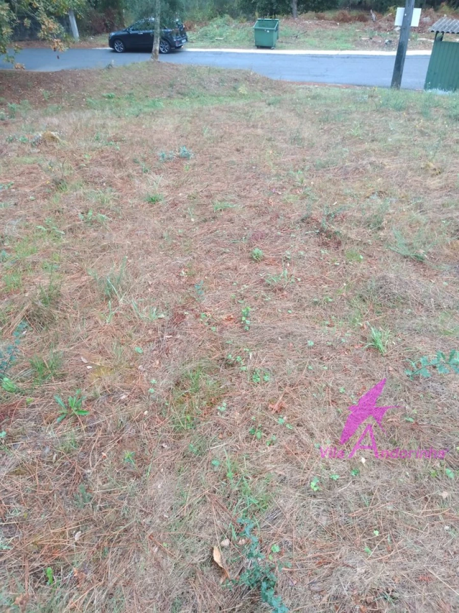 Terreno para Venda em Cerdal Foto 7