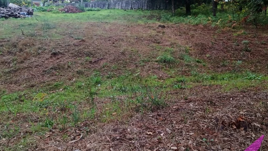 Terreno para Venda em Cerdal