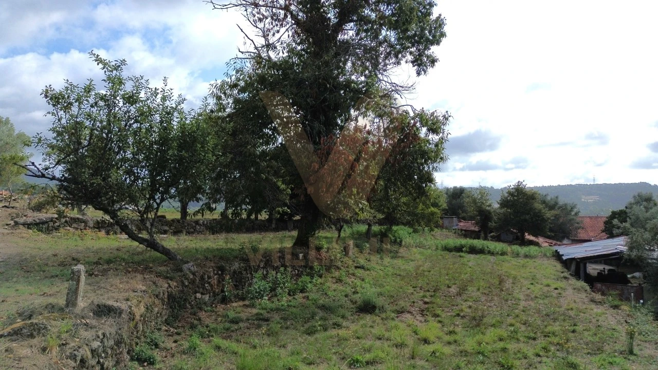 Terreno para Venda em Navió e Vitorino dos Piães Foto 4