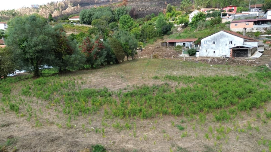 Terreno para Venda em Navió e Vitorino dos Piães Foto 3