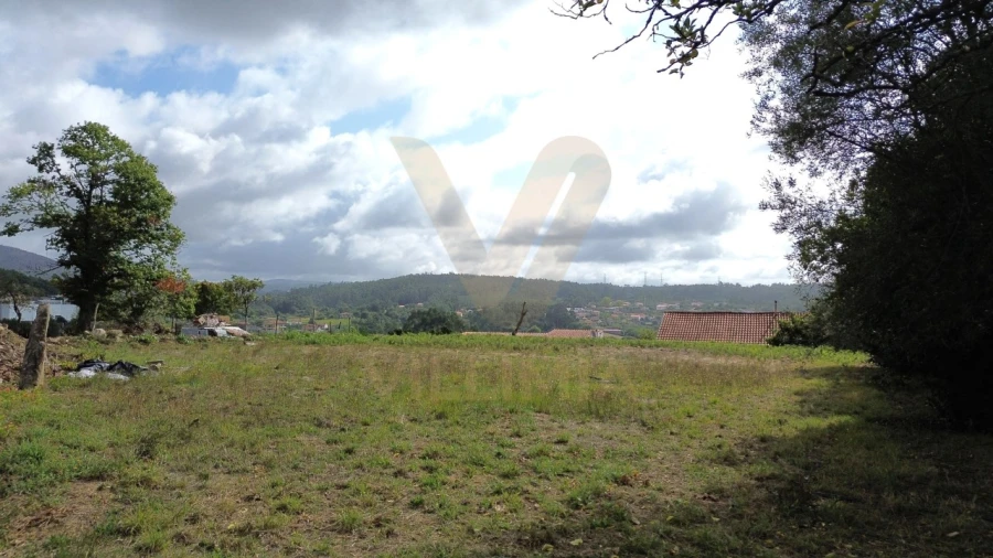 Terreno para Venda em Navió e Vitorino dos Piães Foto 1