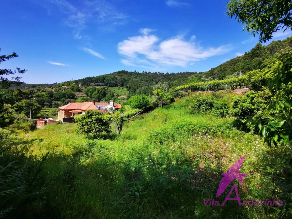 Terreno para Venda em Amonde Foto 1