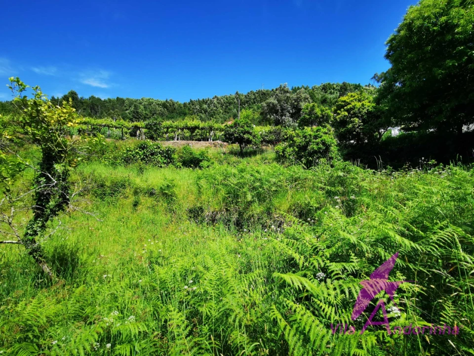 Terreno para Venda em Amonde Foto 7