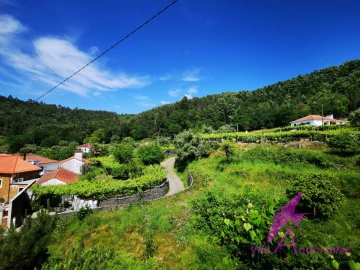 Terreno para Venda em Amonde