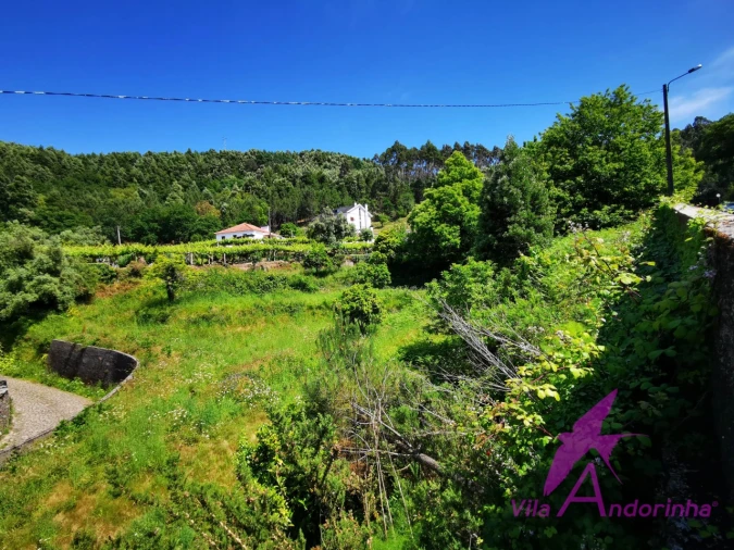 Terreno para Venda em Amonde Foto 3