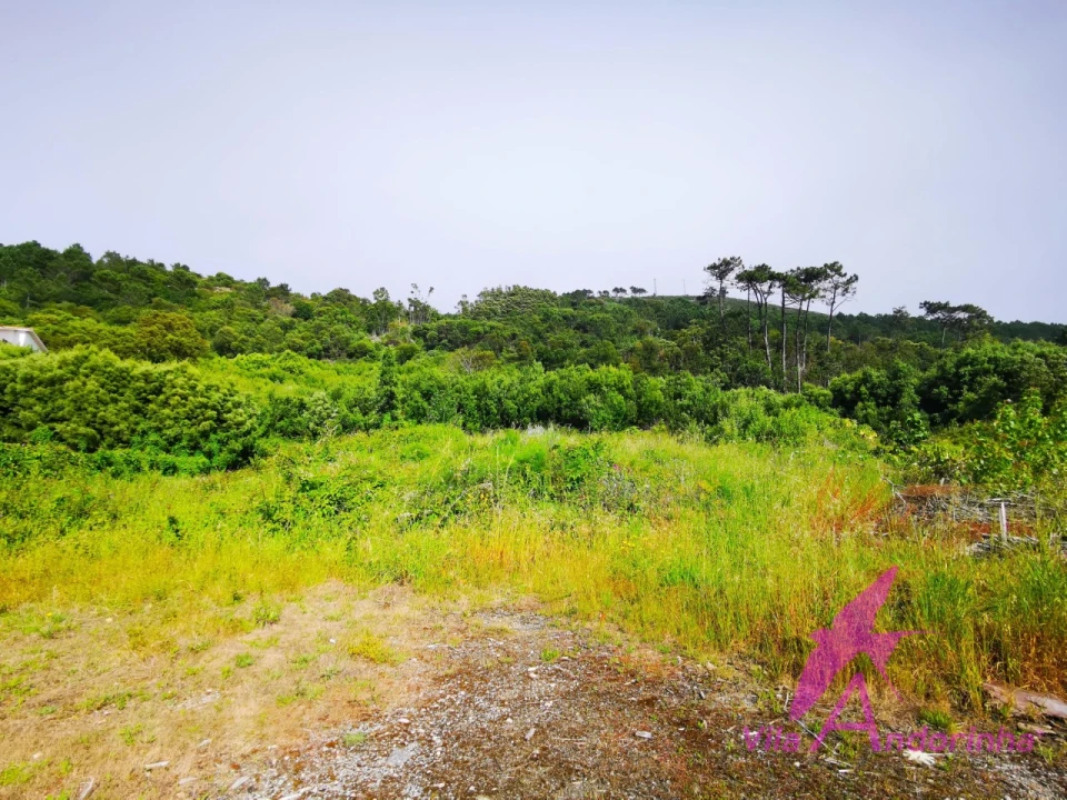 Terreno para Venda em Moledo e Cristelo Foto 2