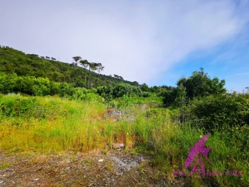 Terreno para Venda em Moledo e Cristelo