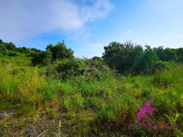 Terreno para Venda em Moledo e Cristelo