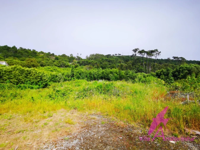Terreno para Venda em Moledo e Cristelo Foto 2
