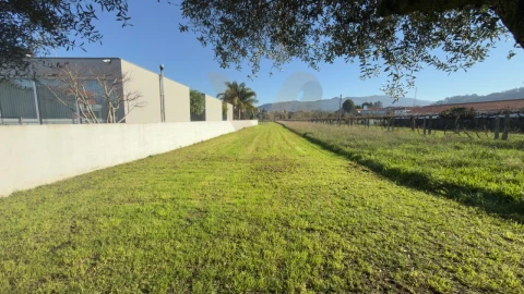 Terreno para Venda em Geraz do Lima (Santa Maria, Santa Leocádia, Moreira), Deão