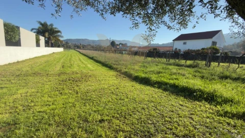 Terreno para Venda em Geraz do Lima (Santa Maria, Santa Leocádia, Moreira), Deão