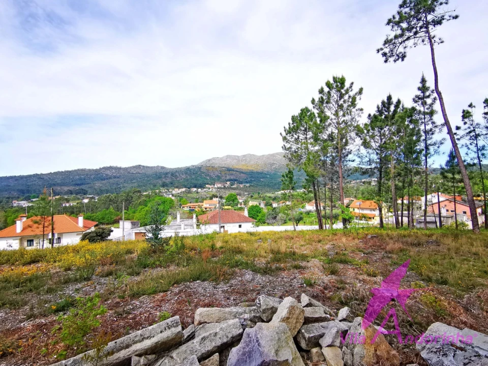 Terreno para Venda em Nogueira, Meixedo e Vilar de Murteda Foto 1