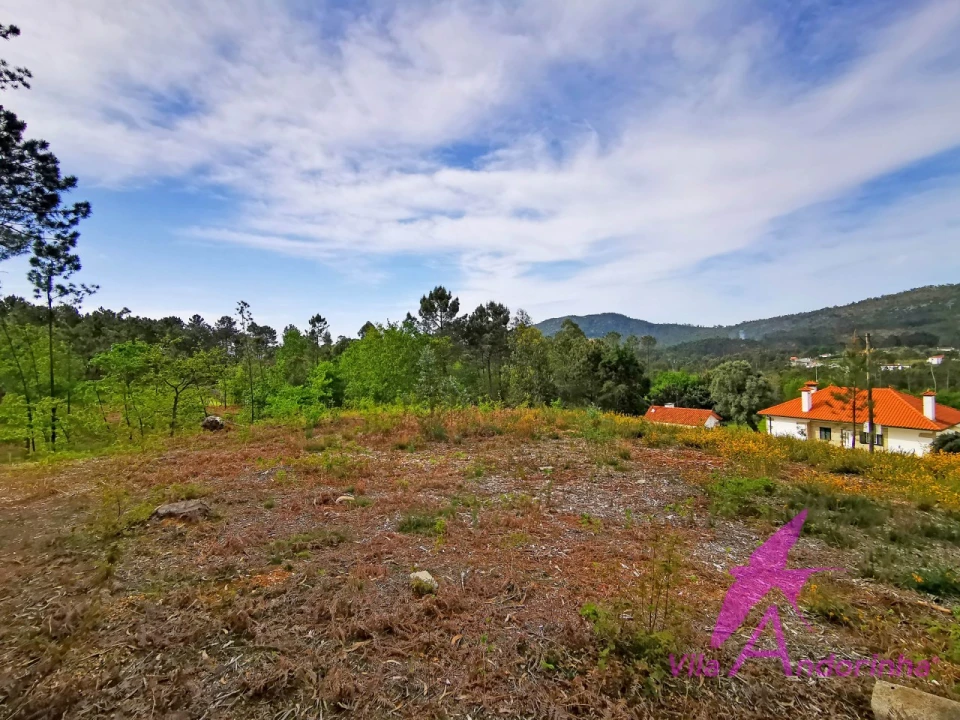 Terreno para Venda em Nogueira, Meixedo e Vilar de Murteda Foto 3