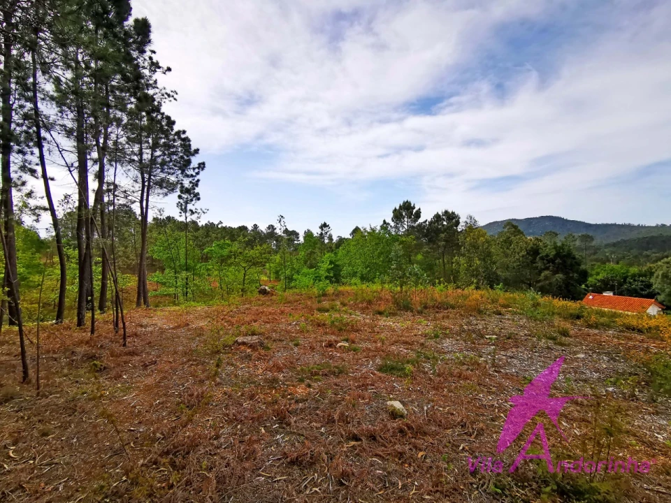 Terreno para Venda em Nogueira, Meixedo e Vilar de Murteda Foto 4