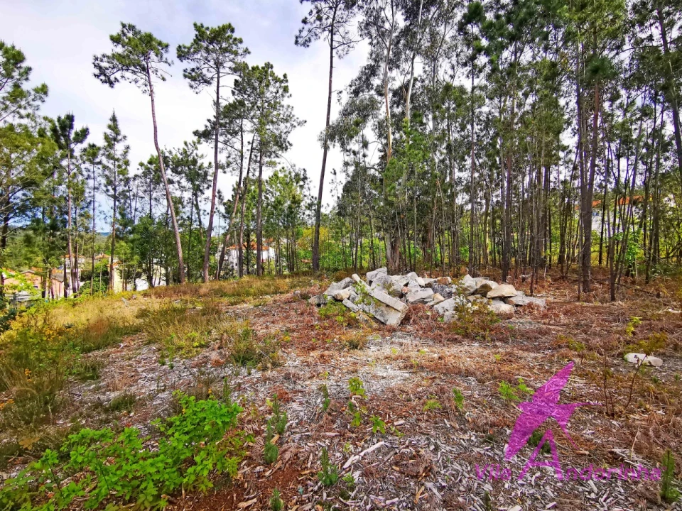 Terreno para Venda em Nogueira, Meixedo e Vilar de Murteda Foto 14