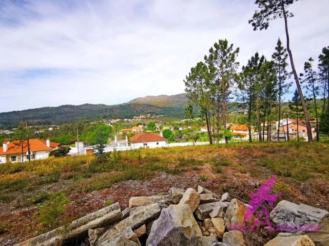 Terreno para Venda em Nogueira, Meixedo e Vilar de Murteda Foto 6