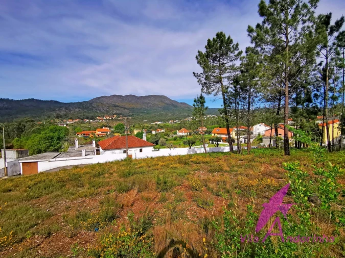 Terreno para Venda em Nogueira, Meixedo e Vilar de Murteda Foto 8
