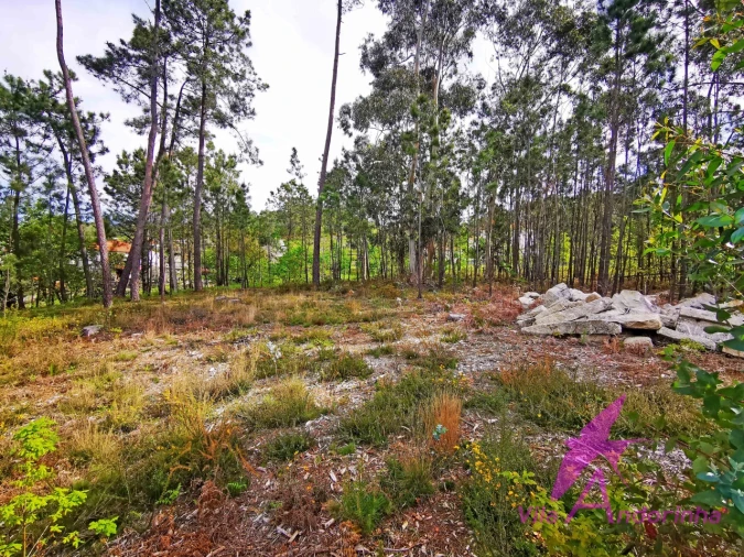 Terreno para Venda em Nogueira, Meixedo e Vilar de Murteda Foto 12