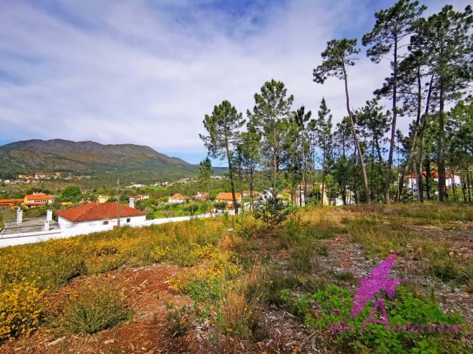 Terreno para Venda em Nogueira, Meixedo e Vilar de Murteda Foto 13