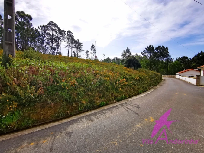 Terreno para Venda em Nogueira, Meixedo e Vilar de Murteda Foto 18
