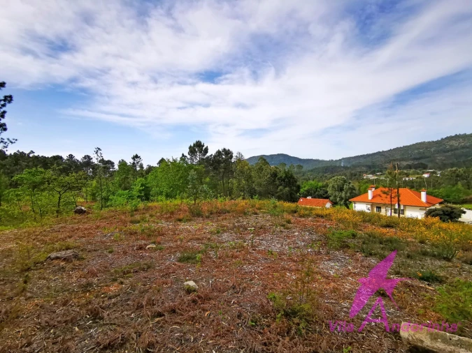 Terreno para Venda em Nogueira, Meixedo e Vilar de Murteda Foto 20