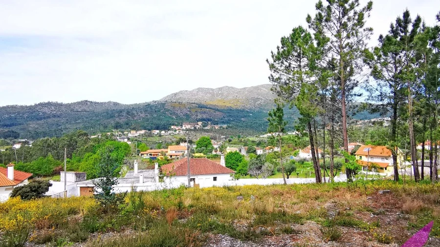 Terreno para Venda em Nogueira, Meixedo e Vilar de Murteda