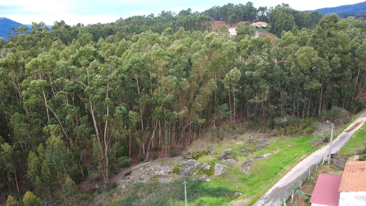 Terreno para Venda em Refoios do Lima Foto 3