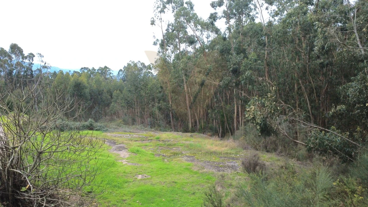 Terreno para Venda em Refoios do Lima Foto 4