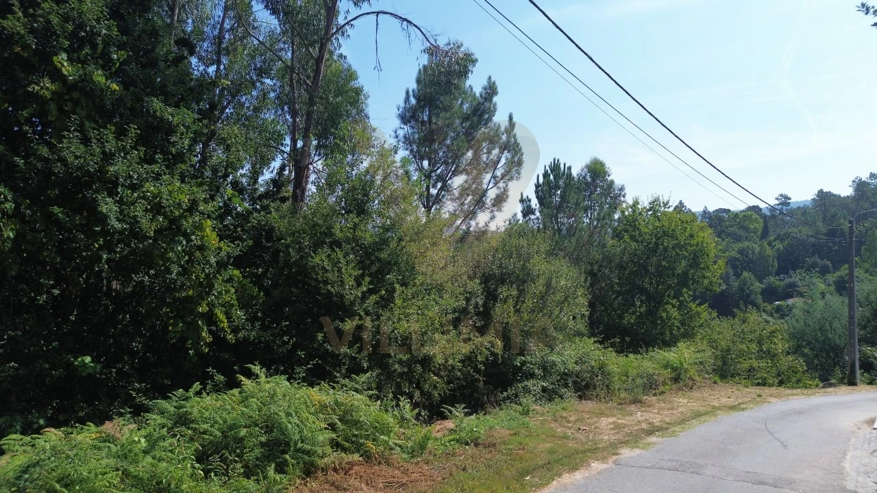Terreno para Venda em Rebordões (Santa Maria) Foto 5