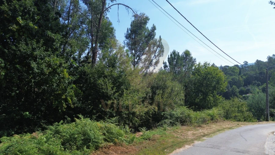 Terreno para Venda em Rebordões (Santa Maria) Foto 5