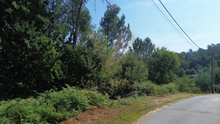 Terreno para Venda em Rebordões (Santa Maria) Foto 6
