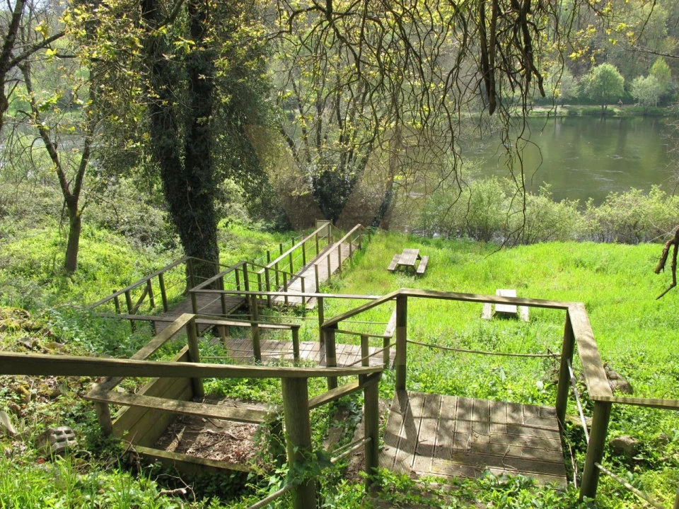 Terreno para Venda em Távora (Santa Maria e São Vicente) Foto 4