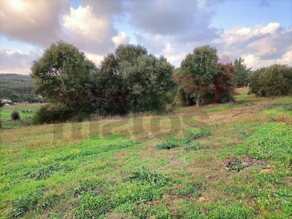 Terreno para Venda em Vau Foto 10