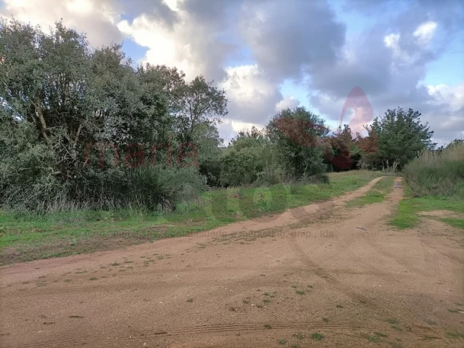 Terreno para Venda em Vau Foto 2