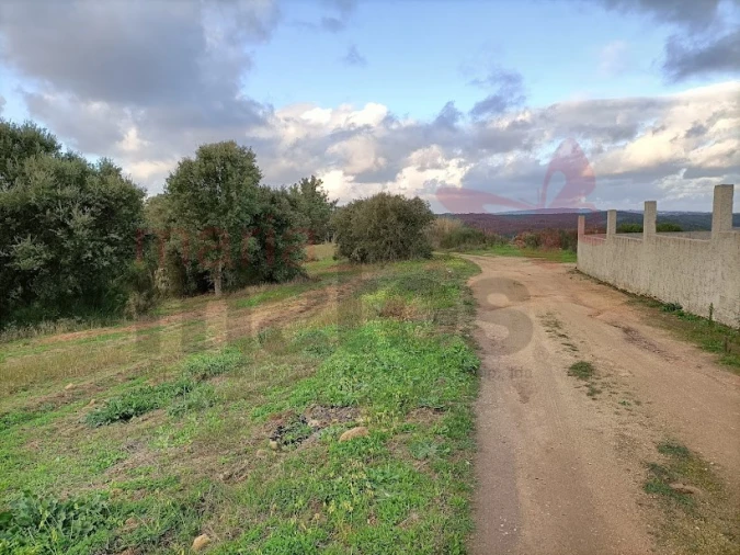 Terreno para Venda em Vau Foto 11