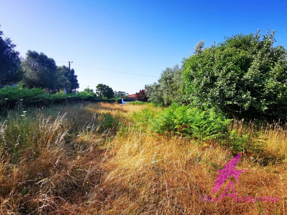 Terreno para Venda em Nogueira, Meixedo e Vilar de Murteda Foto 8