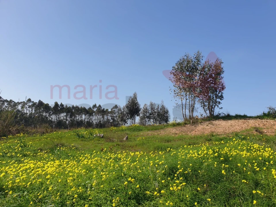 Terreno para Venda em Campelos e Outeiro da Cabeça Foto 3