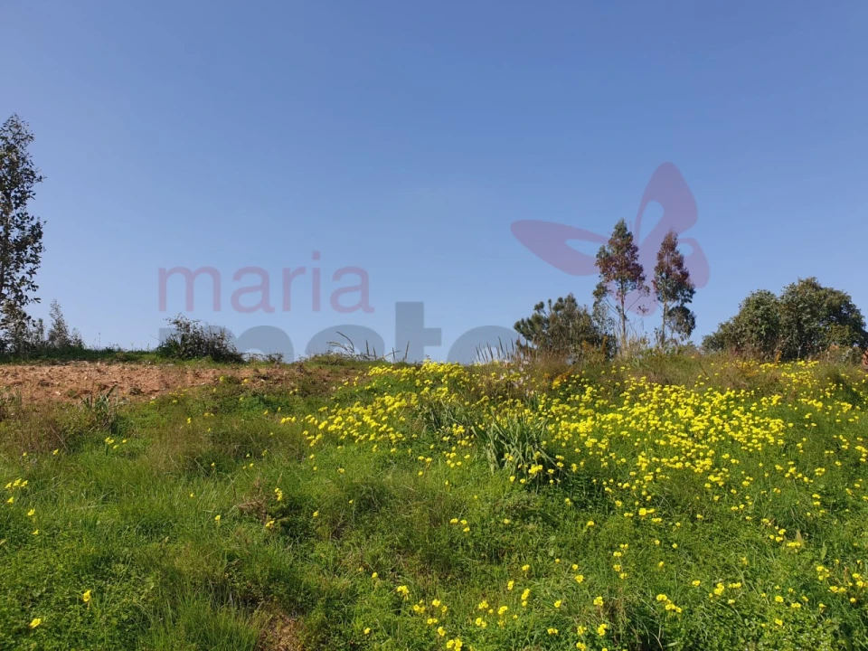 Terreno para Venda em Campelos e Outeiro da Cabeça Foto 5