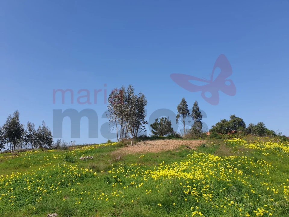 Terreno para Venda em Campelos e Outeiro da Cabeça Foto 6