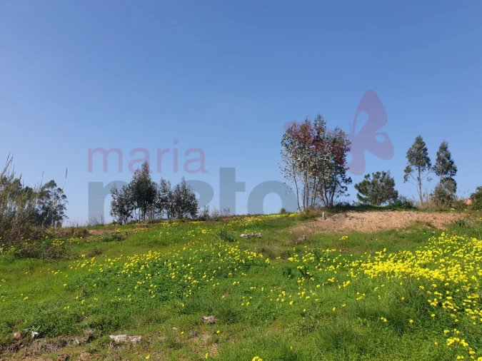Terreno para Venda em Campelos e Outeiro da Cabeça Foto 4