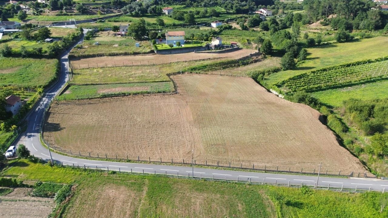 Terreno para Venda em Távora (Santa Maria e São Vicente) Foto 4