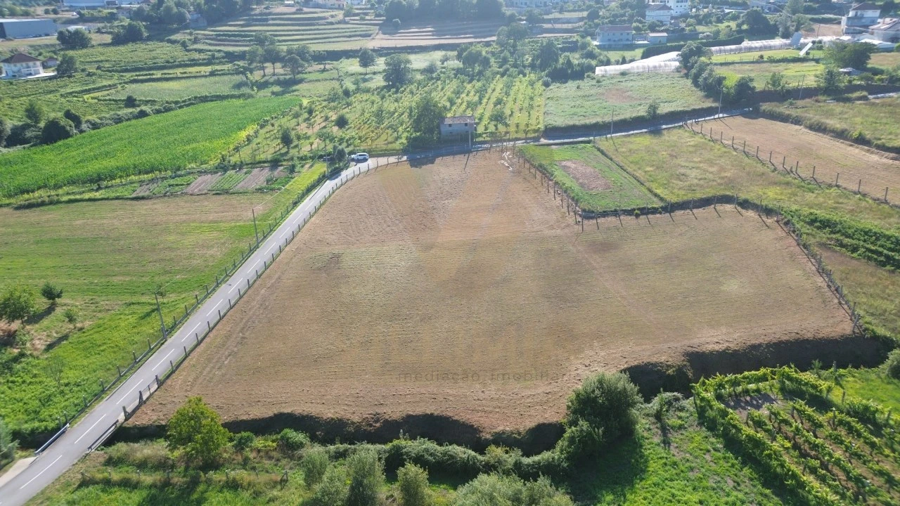 Terreno para Venda em Távora (Santa Maria e São Vicente) Foto 5