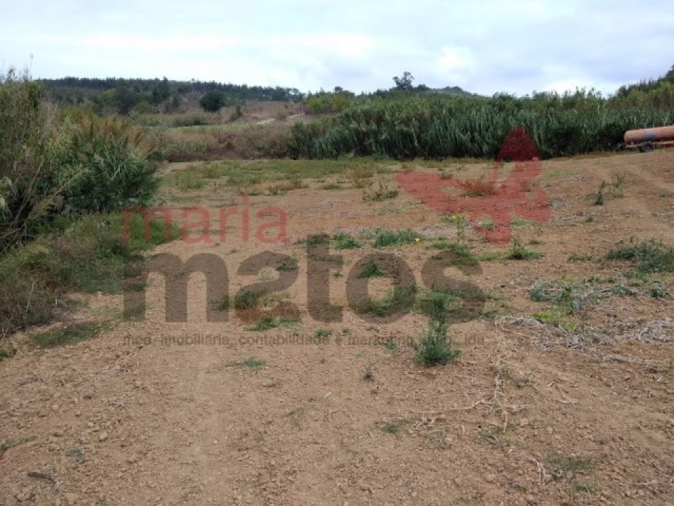 Terreno Agricola ou Rústico para Venda em Lourinhã e Atalaia Foto 2
