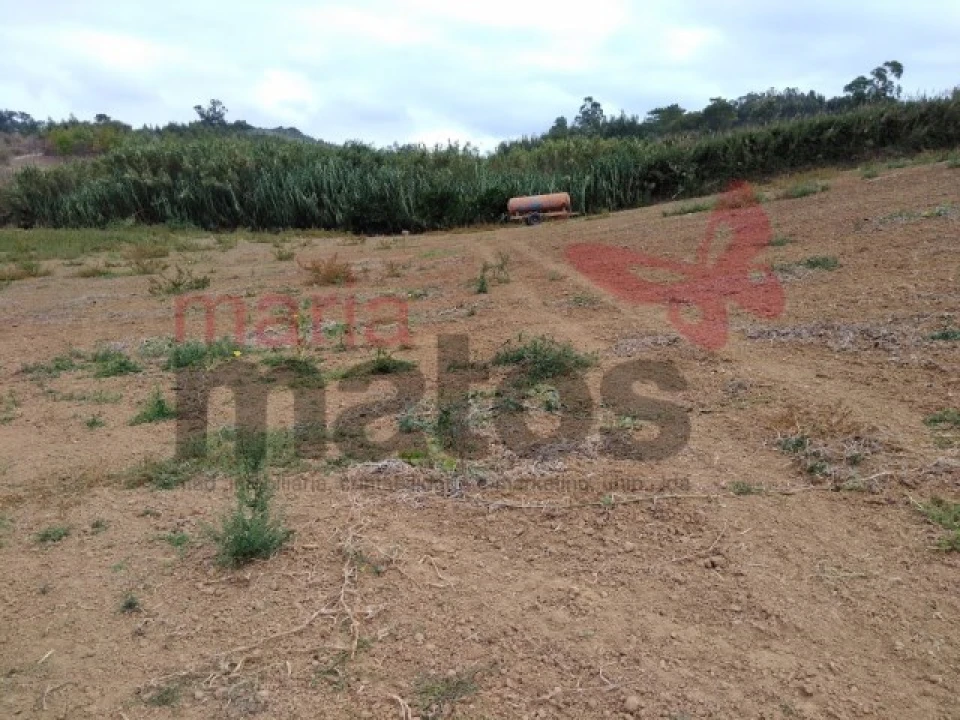 Terreno Agricola ou Rústico para Venda em Lourinhã e Atalaia Foto 3