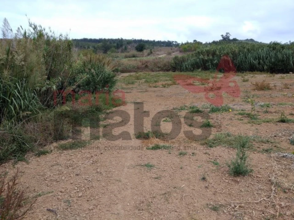Terreno Agricola ou Rústico para Venda em Lourinhã e Atalaia Foto 4