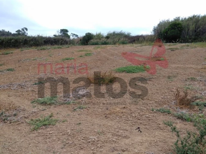 Terreno Agricola ou Rústico para Venda em Lourinhã e Atalaia