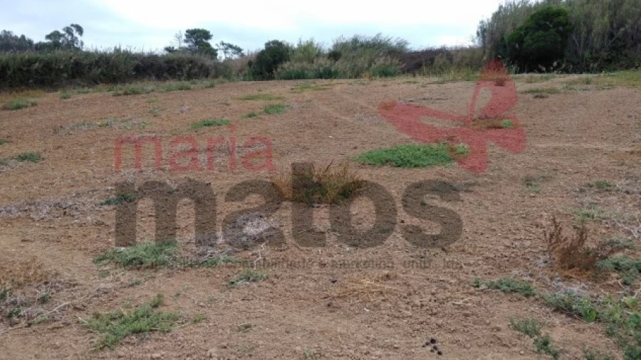Terreno Agricola ou Rústico para Venda em Lourinhã e Atalaia